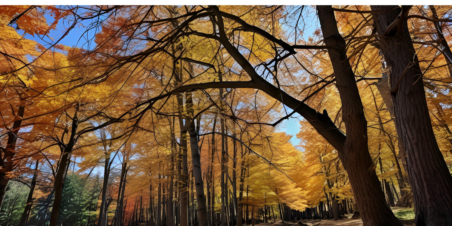 Parcelle symbolique dans les Cévennes : ce que vous achetez vraiment