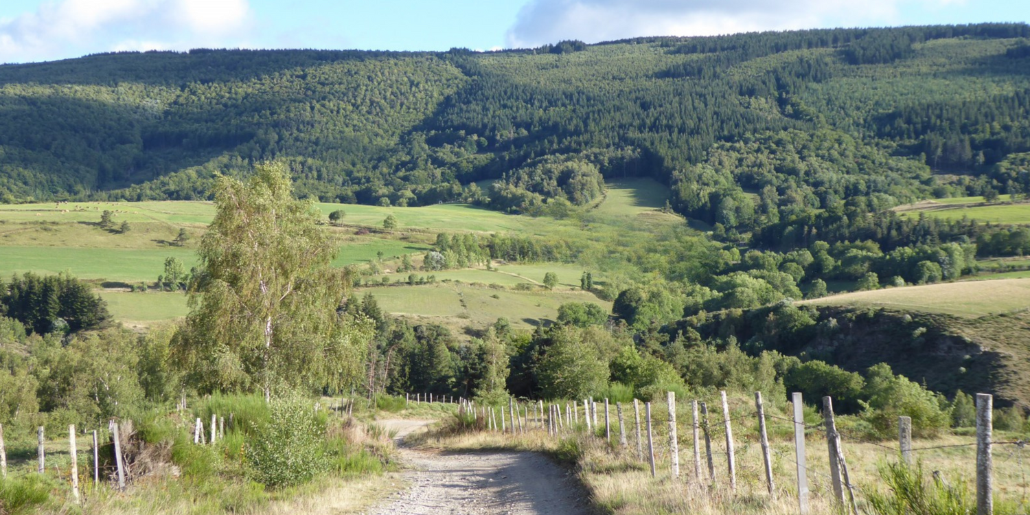 Symbolique, sérieux et transparent : Gardiens des Cévennes répond à vos questions